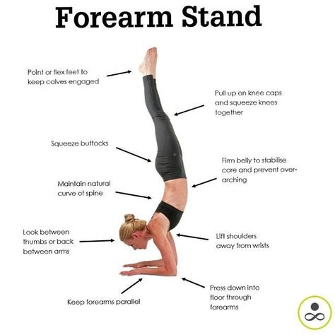 Working my ass off for this one!! Almost there 😊 Great tips xx --------------- RG: @kundalini_keely --------------- #riffraffyoga #yoga #yogalove #forearmstand Forearm Stand, Headstand Yoga, Forearm Workout, Yoga Tutorial, Bikram Yoga, Acro Yoga, Types Of Yoga, Pose Yoga, Restorative Yoga