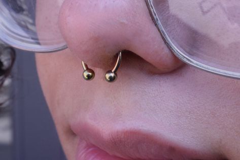 A classic and cute septum piercing with a circular barbell anodized to a golden color ⚡️ Absolutely love this look and always so grateful for the trust especially for septum piercings! Thanks for lookin’ 💛 Golden Septum Piercing, Cute Septum Piercing, Septum Piercing Gold, Gold Septum Piercing, Septum Gold, Gold Septum, Septum Piercings, Circular Barbell, Septum Piercing