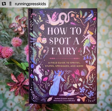 Here’s the book I got to illustrate 40+ fairies for! It was a dream job✨ Repost @runningpresskids : “Have you ever seen a fairy... 🧚⁣ ⁣ Introducing How to Spot a Fairy, an enchanting illustrated guide to finding fairies (and their familiars) in the wild! ⁣ ⁣ Author Sarah Glenn Marsh (@sarahmarshauthor) and illustrator Lilla Bölecz (@lillaboleczillustration) have teamed up to assemble a stunning compendium exploring the history and mythology of fairies. With interactive elements like quizzes... The Familiars Book, Fairy Books, Book Fairy, Magical Beings, Enchanted Book, Types Of Fairies, Water Nymphs, Vintage Fairy, Forest Illustration