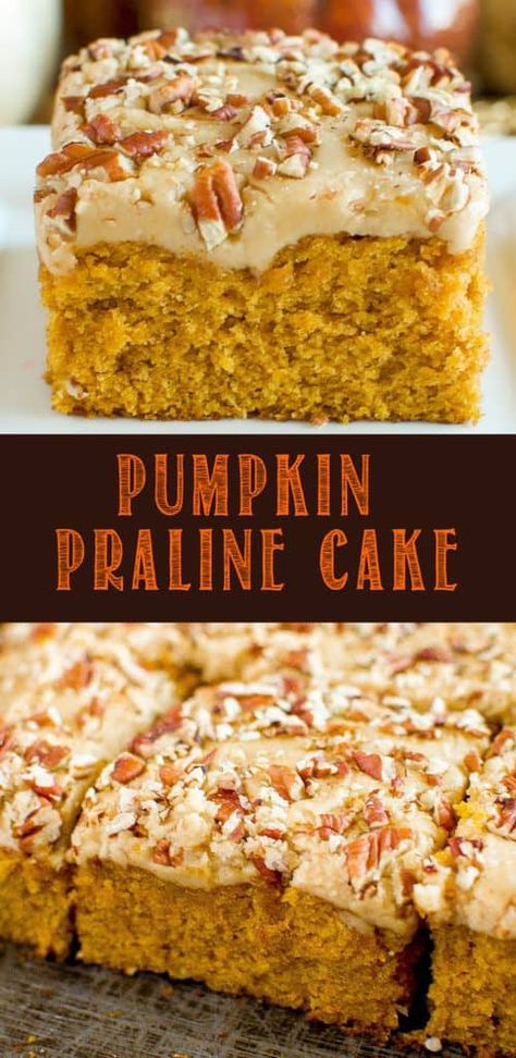 Easy Pumpkin Praline Cake From Scratch is a must make dessert for fall and the upcoming holiday season! Save this recipe now for Thanksgiving and Christmas! #christmas #thanksgiving #holidaydessert #pumpkin #pumpkincake #praline #pralinefrosting Easy Pumpkin Recipes Desserts, Pumpkin Praline, Fall Desserts Pumpkin, Dessert For Fall, Healthy Pumpkin Dessert, Fall Dessert Recipes Easy, Praline Cake, Easy Pumpkin Dessert, Make Dessert