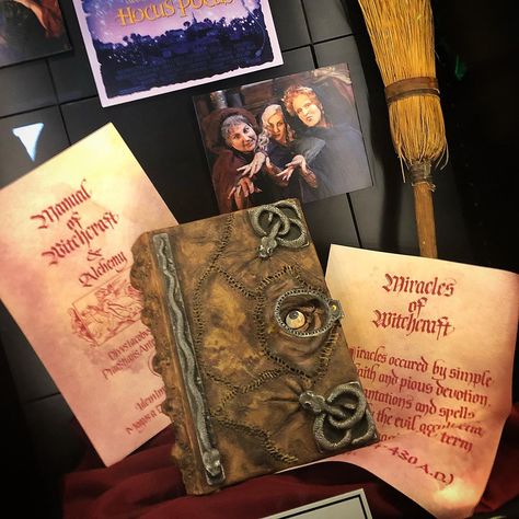 Winifred’s spellbook from the 1993 Walt Disney classic ‘Hocus Pocus’. Pictured here with some pages from the book, and a great never before seen shot of the witches in their ‘old makeup’. Sims 4 Hocus Pocus Cc, Book Hocus Pocus, Famous Witches, Hermanas Sanderson, Hocus Pocus Winifred, Hocus Pocus Book, Halloween Spell Book, Hocus Pocus Movie, Hocus Pocus Spell Book