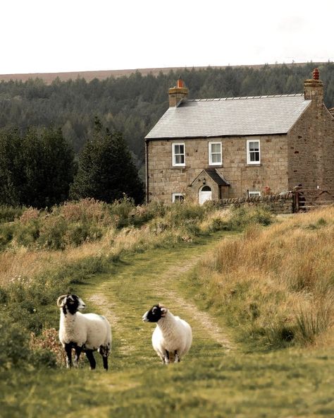 England Countryside, English Village, Country Lifestyle, Countryside House, British Countryside, English Cottage, English Countryside, Uk Travel, Me When