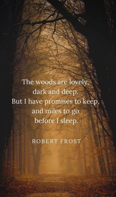 Forest Quotes, Robert Frost Quotes, Robert Frost Poems, Snowy Evening, Nature Poem, Into The Woods Quotes, Sleep Quotes, Before I Sleep, Miles To Go