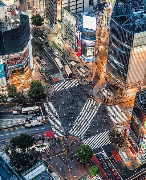 Shibuya Crossing, Tokyo, Japan Japan Beautiful, Things To Do In Tokyo, Travel Booking, Shibuya Crossing, Tokyo Tour, Shibuya Tokyo, Tokyo Skytree, View Point, Japan Architecture