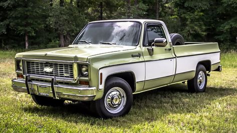 1973 Chevy Truck, Single Cab Trucks, Future Trucks, Pickups For Sale, Chevrolet Pickup, Gm Trucks, American Motors, Chevy Pickups, Chevrolet Trucks