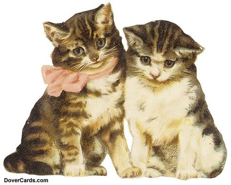 dover's Tabby Kitten, Victorian Scrap, Little Kittens, Fluffy Cat, Arte Animal, Oui Oui, Silly Cats, Vintage Cat, Cat Illustration