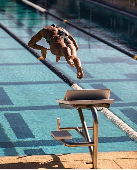 Swimming Dive Start, Woman Swimming Photography, Swimming Jokes, Swimming Photography, Swimming Motivation, Swimming Memes, Swimming Pictures, Women's Swimming, Katie Ledecky