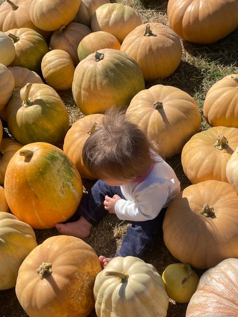 Family Halloween Aesthetic, Baby Pumpkin Patch, Fake Scenarios, Baby Aesthetic, Tiny People, Dream Future, Dream Family, Baby Pics, Halloween Photos