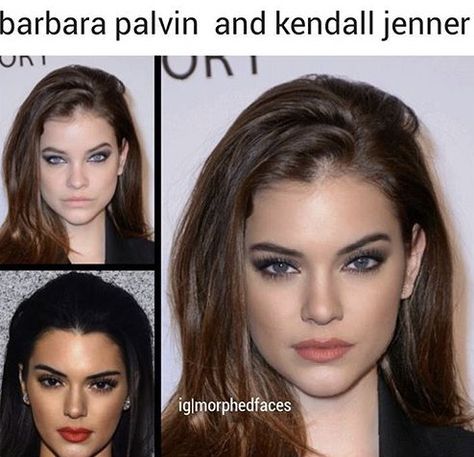 Looks like Hailey steinfield Face Mashups, Morphed Faces Celebrities, Kylie Jenner Body, Photoshop Face, Face Blender, Funny Photoshop, Celebrity Faces, Barbara Palvin, Disney Princess Art