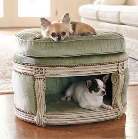 Here are some creative ideas you can try and have a perfect place for your pet to rest, and at the same time make it look stylish! #PetSpace Ottoman Dog Bed, Dog Bed Ideas, Pet Spaces, Pet Projects, Cool Dog Beds, Dog Things, Chihuahua Love, Pet Ideas, Cat Beds