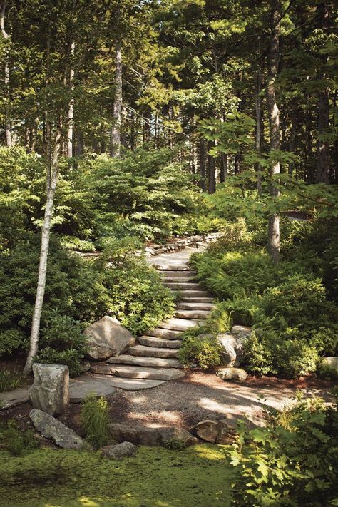 Arsitektur Art Deco, Taman Air, Garden Stairs, Coastal Maine, Hillside Landscaping, Desain Lanskap, Sloped Garden, Garden Steps, Stone Path