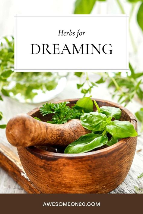 Dream Herbs, Herb Tinctures, Easy Herbs To Grow, Dong Quai, Low Salt Recipes, Dream Recall, Peaceful Sleep, Astral Projection, Disease Prevention