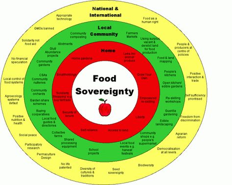 Food Sovereignty, Activism Art, Food Justice, Sustainable Food Systems, Eat The Rich, Community Living, Garden Animals, Food System, Food Security