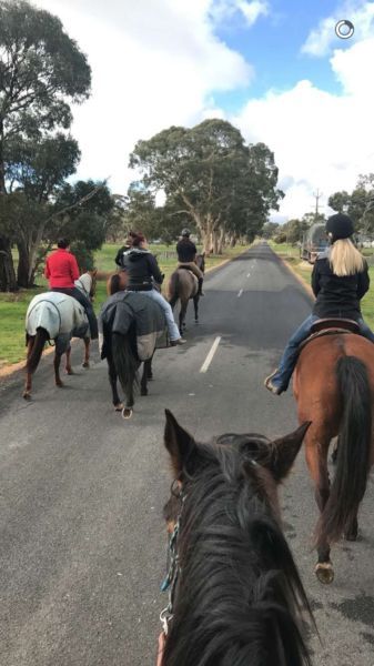 Group Trail ride Group Horse Riding, Rancho Life, Equestrian Friends, Trip To Arizona, Texas Sun, Sweet Thoughts, Life Plans, Trail Ride, Horse Ears