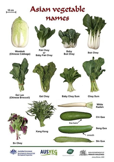 Asian vegetables, ugly vegetable soup, chinese vegetables Chinese Vegetables, Asian Vegetables, Food Charts, Cooking Supplies, Vietnamese Food, Leafy Vegetables, Food Info, Cooking Basics, Green Vegetables