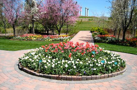 Round Flower Beds | Round flower bed | Flickr - Photo Sharing! Round Flower Bed Ideas, Driveway Circle, Driveway Island, Entrance Landscape, Japanese Farmhouse, Entrance Landscaping, Circle Driveway, Round Garden, Grey Floor