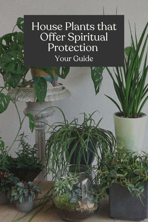 Witch House Plants, Plants For Spiritual Protection, Witchy House Plants, Spiritual Plants For Home, Plants For Protection Witchcraft, Plants For Protection, Protection Plants, Cleanse Home Spiritual, Protection Plants Witchcraft