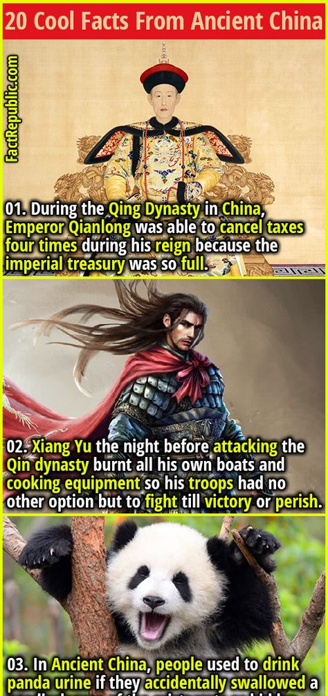 20 Cool Facts From Ancient China That’ll Blow Your Mind | Fact Republic Chinese Dynasty Timeline, China Emperor, Homeschool Units, China Facts, Ancient China Art, Japan Facts, Best Shoujo Manga, Qin Dynasty, Cool Facts