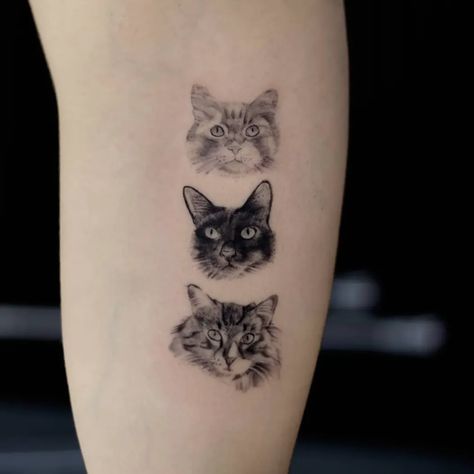 Cat Portrait Tattoo, Cat Portrait, Small Cat, Cat Tattoo, Portrait Tattoo, Tattoos, Black