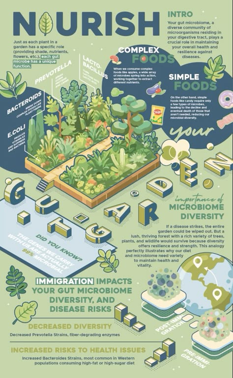 Informational Infographic Design, Informative Poster Ideas, Sustainability Event Poster, Poster Science Design Ideas, Science Infographic Design, Ecology Poster Design, Life Cycle Infographic, Creative Infographic Design Ideas, Creative Infographic Design Layout