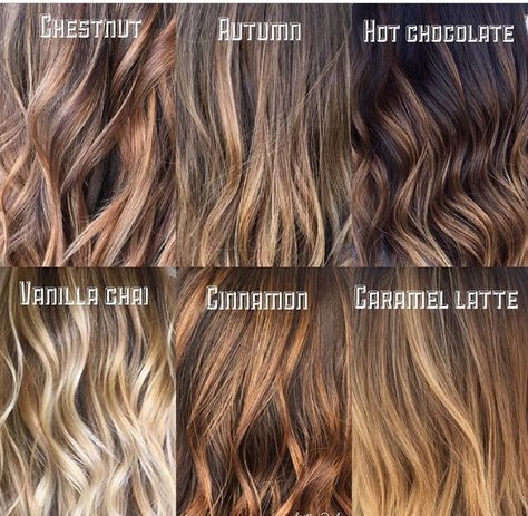 Vanilla chai or chestnut? Chestnut With Blonde Highlights, Almond Butter Hair Color, Vanilla Latte Hair Color, Chai Latte Hair Color, Vanilla Highlights Brown Hair, Chai Hair Color, Vanilla Chai Hair Color, Fall Hair Color For Light Brunettes, Caramel Latte Hair