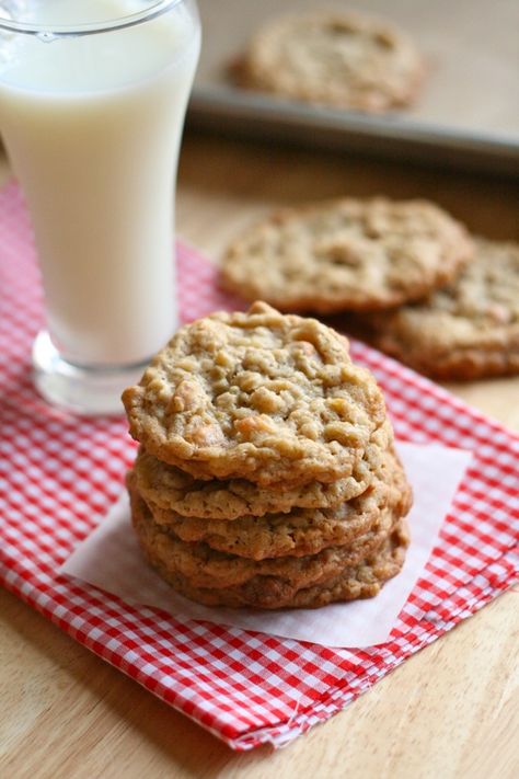 Peanut Butter Coconut Oatmeal Scotchies Caramel Apple Oatmeal Cookies, Coconut Oats, Oatmeal Scotchies, Oatmeal Coconut Cookies, Coconut Oatmeal, Butterscotch Cookies, Toffee Nut, Coconut Peanut Butter, Peanut Butter Oatmeal