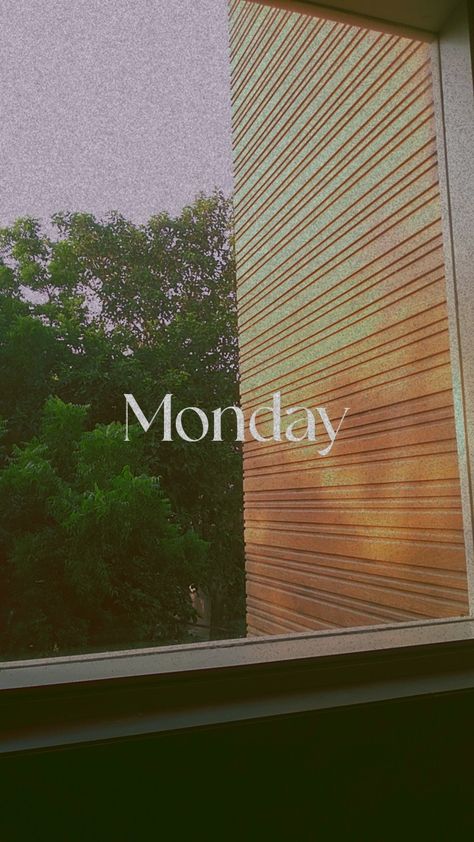 Monday Snap, Snap Morning, Creative Snaps, Creative Snaps For Snapchat, Cat Profile, Sky Aesthetic, Snapchat, Quick Saves