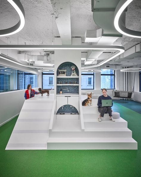 BarkBox, a company specialized in producing snacks and toys for dogs, has built a dog park inside its New York headquarters. This park, which features a climbing tower, a tunnel, a ball pit, and seats for owners, is just one of the many dog-friendly features of the office.  Their office has conventional workspaces but is designed to be “optimized for dogs and people to have fun together”. Dog Friendly Office, Dog Park Design, Dogs And People, Climbing Tower, Toys For Dogs, Dog Spaces, Office Dog, Pet Area, Dogs Trust