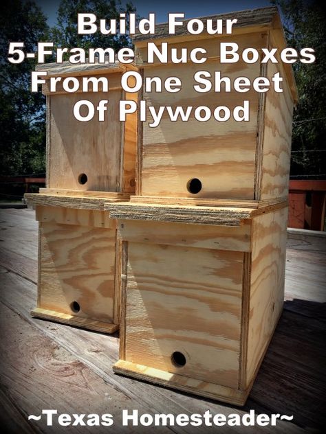 Build A Bee Hive, Bee Nuc, Honey Bee Swarm, Honey Bees Keeping, Bee Hives Boxes, Bee Hives Diy, Swarm Of Bees, Bee Hive Plans, Backyard Bee