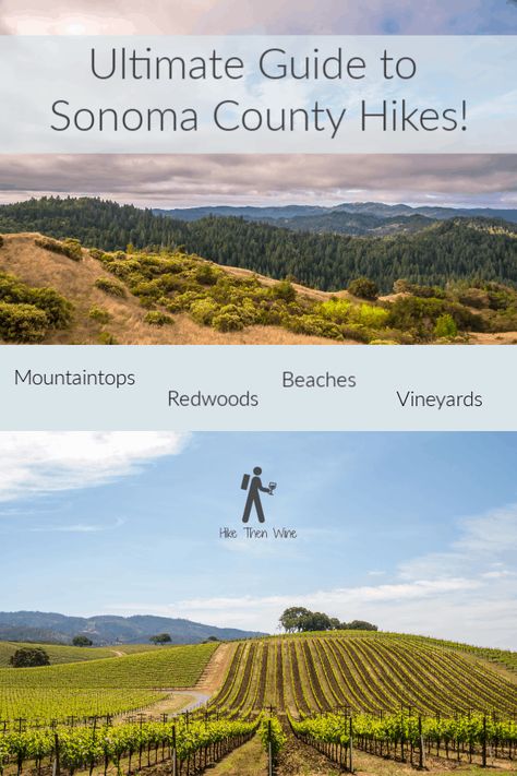 Napa Hiking Trails, Bangkok Beach, Sonoma Valley Itinerary, Hiking In Sonoma County, Best Vineyards In Sonoma, Best Wineries In Sonoma, Sonoma County California, Sonoma Coast, Yosemite Park