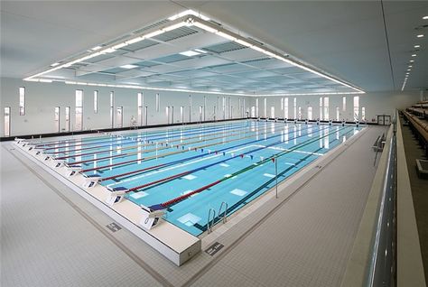 If you liked the small 25m pool I posted check this one out its amazing 50m Diving Pool, Swimming Pool Architecture, Training Design, Olympic Swimming, Couch To 5k, My Gym, Acoustic Solutions, 3d Printing Education, Lap Pool