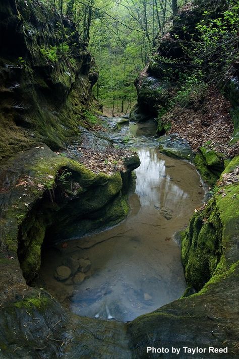 Little Grand Canyon     Southern Illinois   - Google Search Illinois State Parks, Zion Camping, Cheap Camping, Shawnee National Forest, Illinois Travel, Camping Cabins, Cabin Camping, Southern Illinois, The Windy City