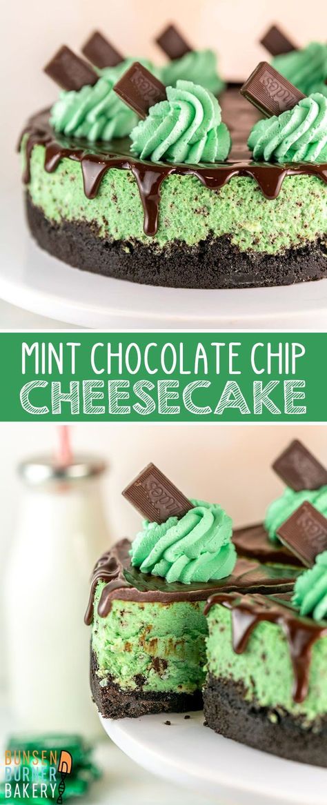 Freeze Cheesecake, Andes Mint Cheesecake, Freeze Cheese, Mint Chocolate Recipes, Mint Chocolate Cheesecake, Andes Mints, Mint Desserts, Mint Cheesecake, Bunsen Burner