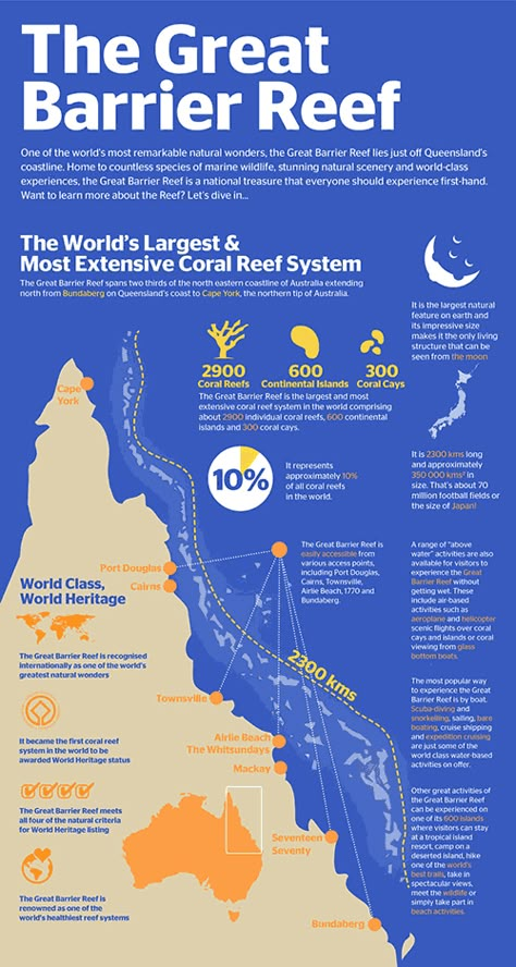 Great-Barrier-Reef-Infographic Great Barrier Reef Australia, Where Is Bora Bora, Best Island Vacation, Australian Travel, The Great Barrier Reef, Marine Conservation, Oceanography, Marine Biology, Natural Scenery