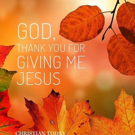 Church Sign Sayings, Thanksgiving Bible Verses, Thanksgiving Blessings, Happy Sabbath, Happy Sunday Quotes, Christian Quotes Prayer, Happy Thanksgiving Quotes, Blessed Quotes, Faith Inspiration