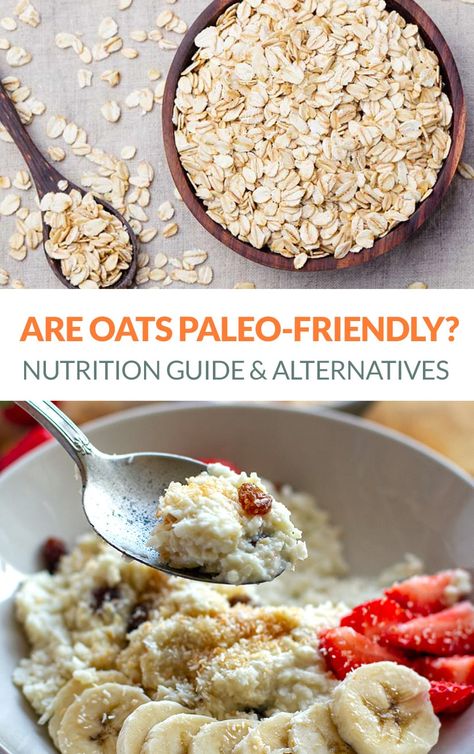 Are Oats & Oatmeal Paleo-Friendly? We look at the nutritional profile of oats, the pro and cons and various paleo porridge and oatmeal alternatives. #oats #oatmeal #paleooatmeal #noatmeal #paleodiet #paleofoods Alternatives To Oatmeal, Grain Free Oatmeal, N'oatmeal Paleo, Gut Healing Oatmeal, Paleo Porridge, Oat Meal For Fat Loss, Paleo Cereal, Paleo Oatmeal, Paleo Fruit