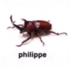 bug gang Bug Names Funny, Bug Name Meme, Blurry Bugs With Names, Bug Pfp, Bugs In Love, Bugs With Human Names, Insects With Names, Bug Memes, Bugs With Names