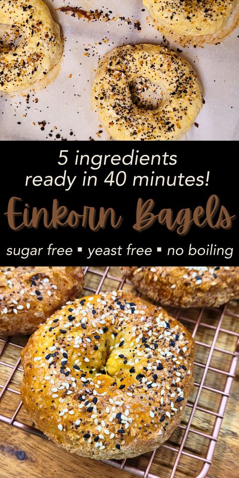 Einkorn Bagels - Traditional Home Living Einkorn Dessert Recipes, Einkorn Sourdough Discard Recipes, Einkorn Bagels, Einkorn Bread Machine Recipe, Einkorn Muffins, Bagel Recipes, Einkorn Bread, Bagel Recipe Easy, Bagels Recipe