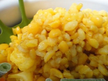 Bright Yellow Split Pea and Rice Pilaf #yellowsplitpeas #Splitpeasoup #Splitpeas #Soup #cook #recipes #healthylifestyle #healthy #nutrition #farmlife #foodie #food #peas #pea #pearecipes Mexican Gumbo, Yellow Split Pea Recipe, Greek Rice Pilaf, Easy Rice Pilaf, Brown Rice Pilaf, Yellow Split Pea, Bean And Vegetable Soup, Wild Rice Pilaf, Rice Pilaf Recipe