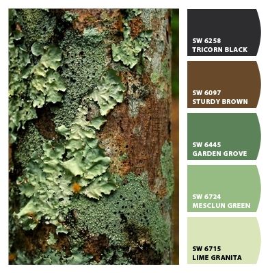 Paint colors from ColorSnap by Sherwin-Williams How To Draw Moss On Trees, Moss Outfit, Lichen Art, Moss Texture, Earthly Tones, Upcycle Art, Tree Texture, Sap Green, Lichen Moss