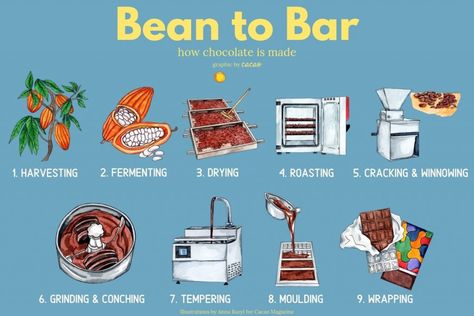 Chocolate Business Ideas, Chocolate Bar Design, Cacao Recipes, Craft Chocolate, History Of Chocolate, Chocolate Book, Chocolate Work, Cocoa Beans, Chocolate Maker