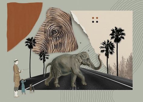 Hunted Elephant - Digital Collage Artworks - Stories with a clue | OpenSea Elephant Collage, Collage Graphic Design, Collage Graphic, Digital Collage Art, Collage Artwork, Digital Collage, Graphic Design Art, Clue, Art Direction