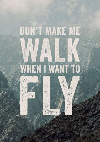 Dont make me walk when I want to fly Fly Quotes, Diy Photo, Motivational Posters, Inspirational Quotes Motivation, Travel Quotes, Beautiful Quotes, The Words, Great Quotes, Inspirational Words