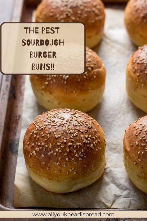 Sourdough Burger Buns, Sourdough Burger, Sourdough Hamburger Buns, Sourdough Buns, Burger Buns Recipe, Hamburger Bun Recipe, Sourdough Starter Discard Recipe, Discard Recipes, Homemade Sourdough