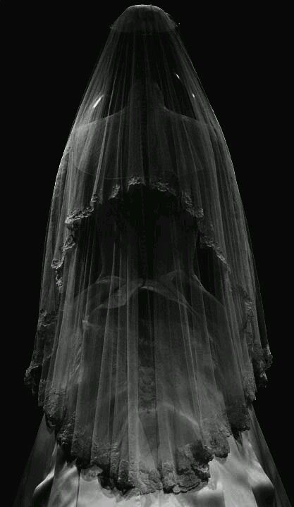 Veil Aesthetic, Wedding Photography Aesthetic, Goth Alien, Bride Aesthetic, Dark Zone, The Wraith, Ghost Bride, The Black Widow, Artistic Wedding Photography