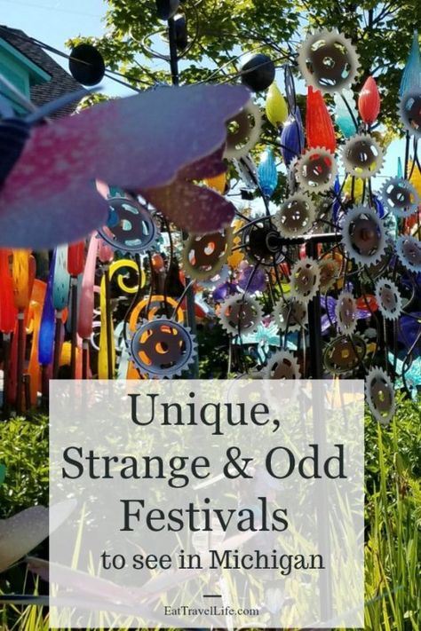 Looking for something fun & unique to see in Michigan? Check out this list of strange, odd and unique fun Michigan festivals to visit happening year round. Michigan Living, Places To Visit In Michigan, Best Michigan Vacation Spots, Fun Places To Go In Michigan, Western Michigan Travel, Munising Michigan, Michigan Day Trips, Chalk Art Festival, Michigan Summer Vacation