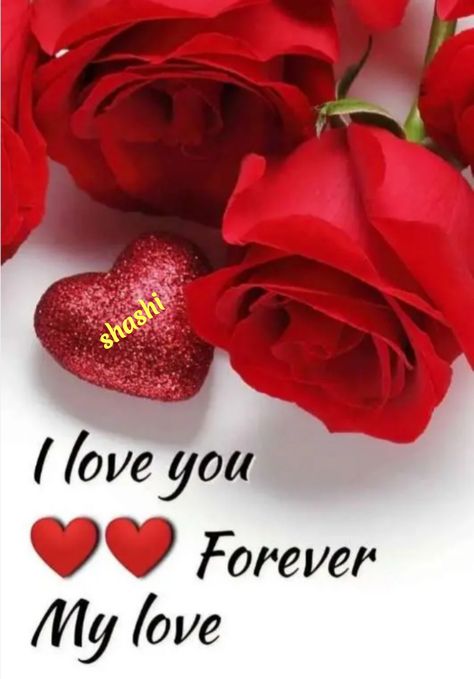 Id Card Photo Makeup, Id Card Photo, I Love You Dear, Hi Quotes, Valentines Day Poems, I Love You So Much Quotes, Good Night Sweetheart, Good Night I Love You, Love Rose Flower