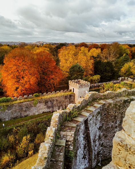 Ireland Fall Aesthetic, Stonewall Aesthetic, Cardiff Wales Aesthetic, Cardiff Aesthetic, Wales Aesthetic, Acotar Courts, Wales Country, Autumn Hill, Wales Cardiff