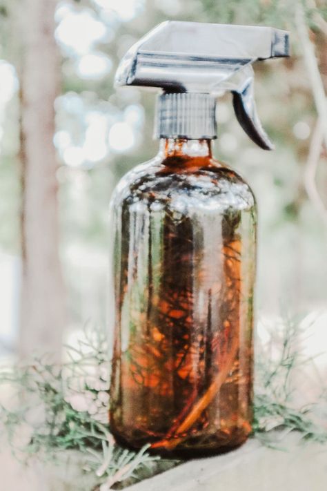 Homemade Pine Sol Scented Natural Cleaner: Cheap and Easy - On Yankee Farm Homemade Pine Sol, Diy Bathroom Cleaner, Diy Glass Cleaner, Diy All Purpose Cleaner, Pine Sol, Natural Cleaner, Pine Oil, Pine Essential Oil, Natural Cleaning Recipes