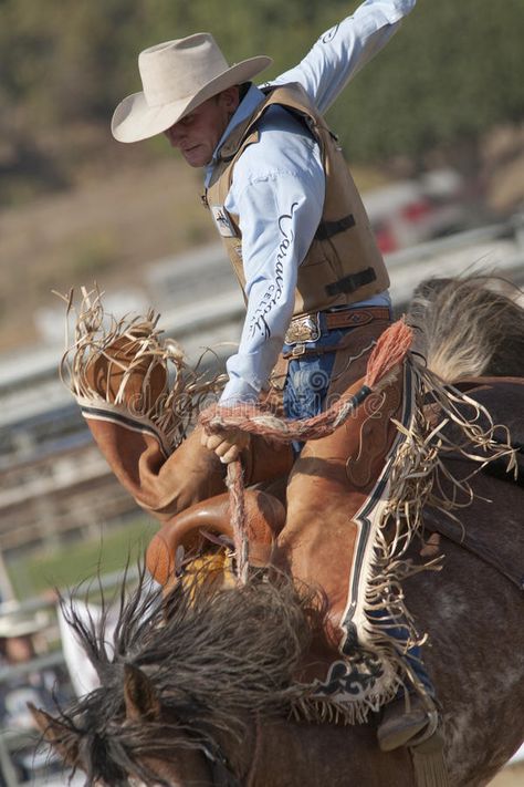 Cowboy Saddle, Saddle Bronc Riding, Western Horseman, Saddle Bronc, Bronc Riding, Cowboy Life, Rodeo Time, Rodeo Cowboys, Real Cowboys